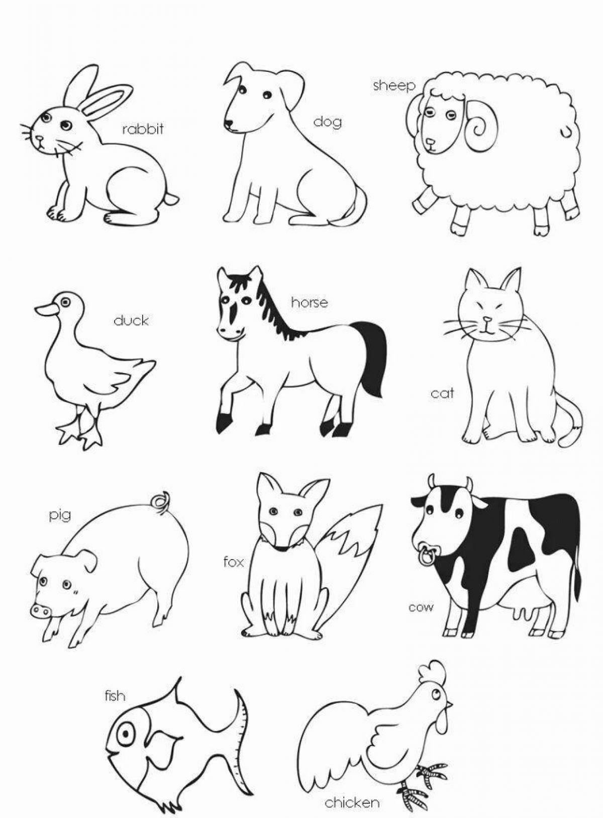 Домашние животные на английском для детей раскраска