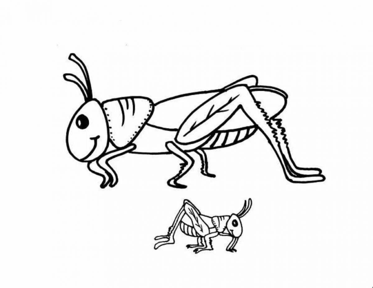 Раскраска насекомые кузнечик