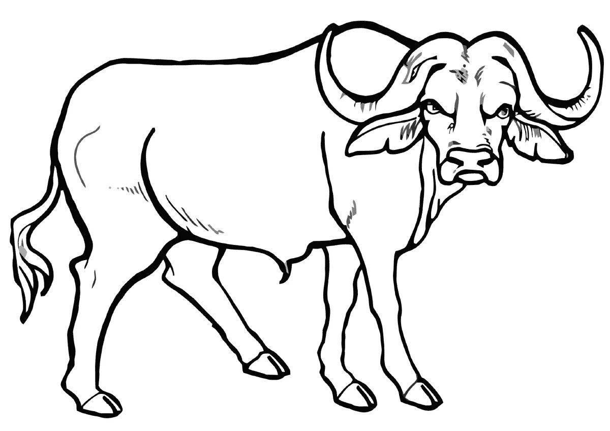Coloring book dazzling bull for children