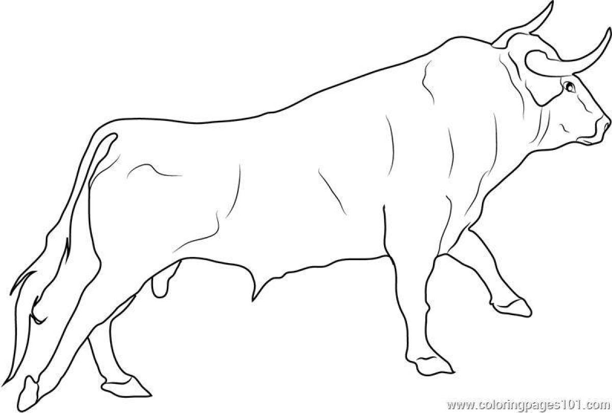 Fancy bull coloring for kids