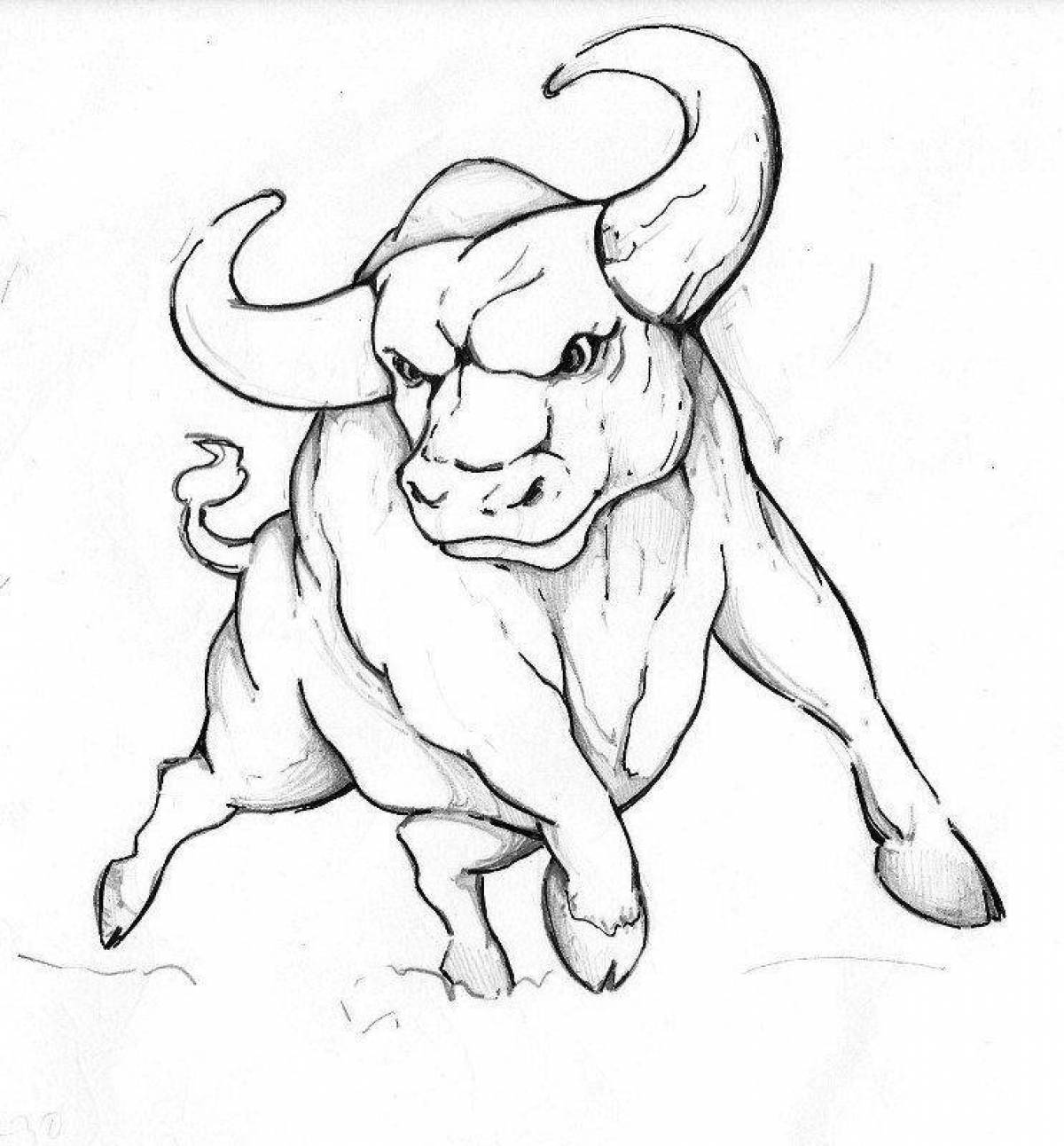 Fun coloring bull for kids