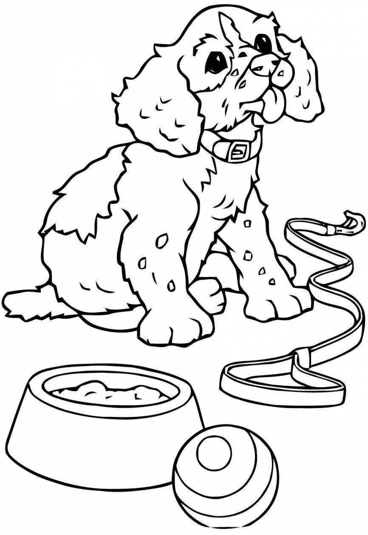 Soft dog and cat coloring book for kids