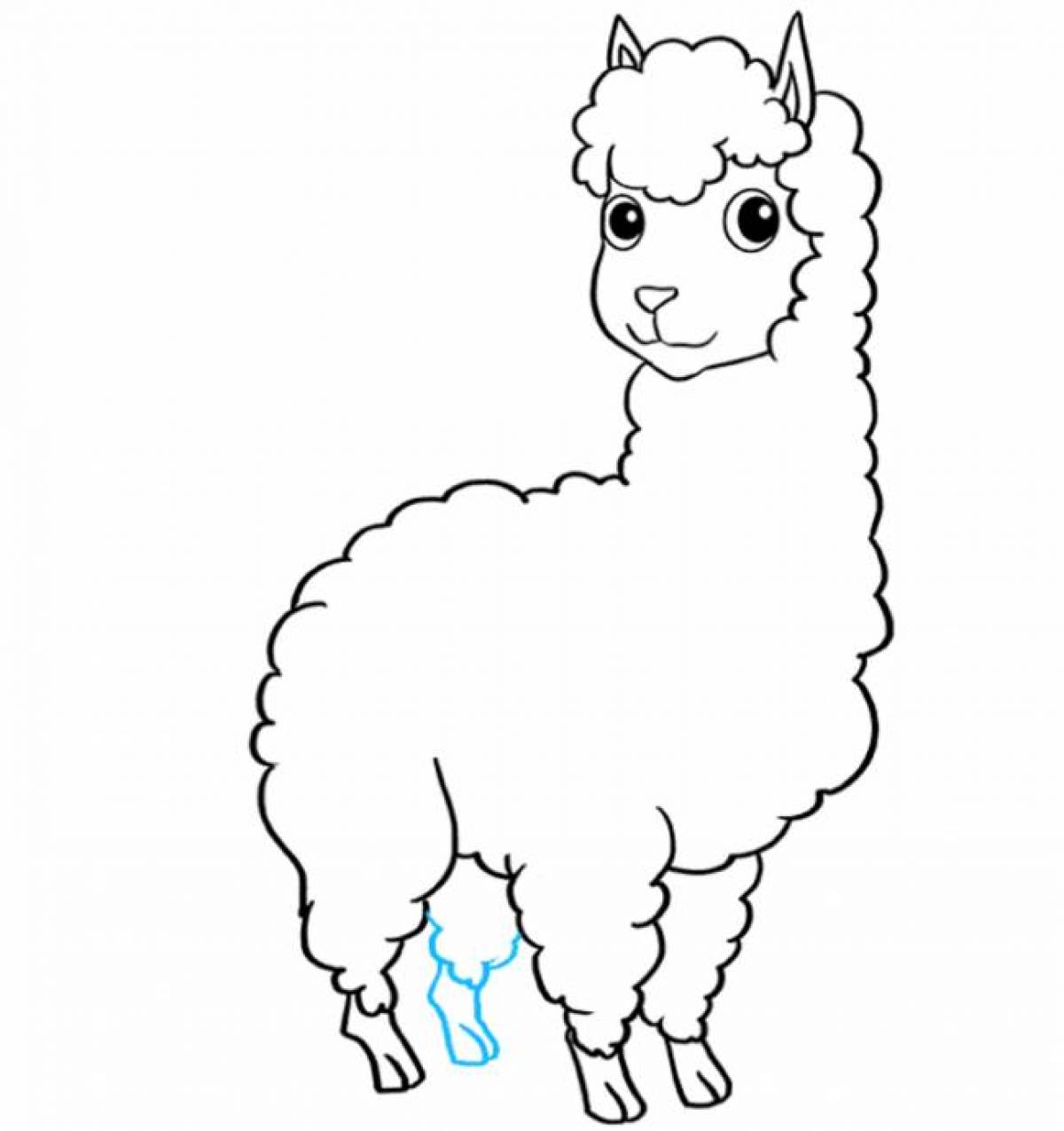 Coloring llama for kids