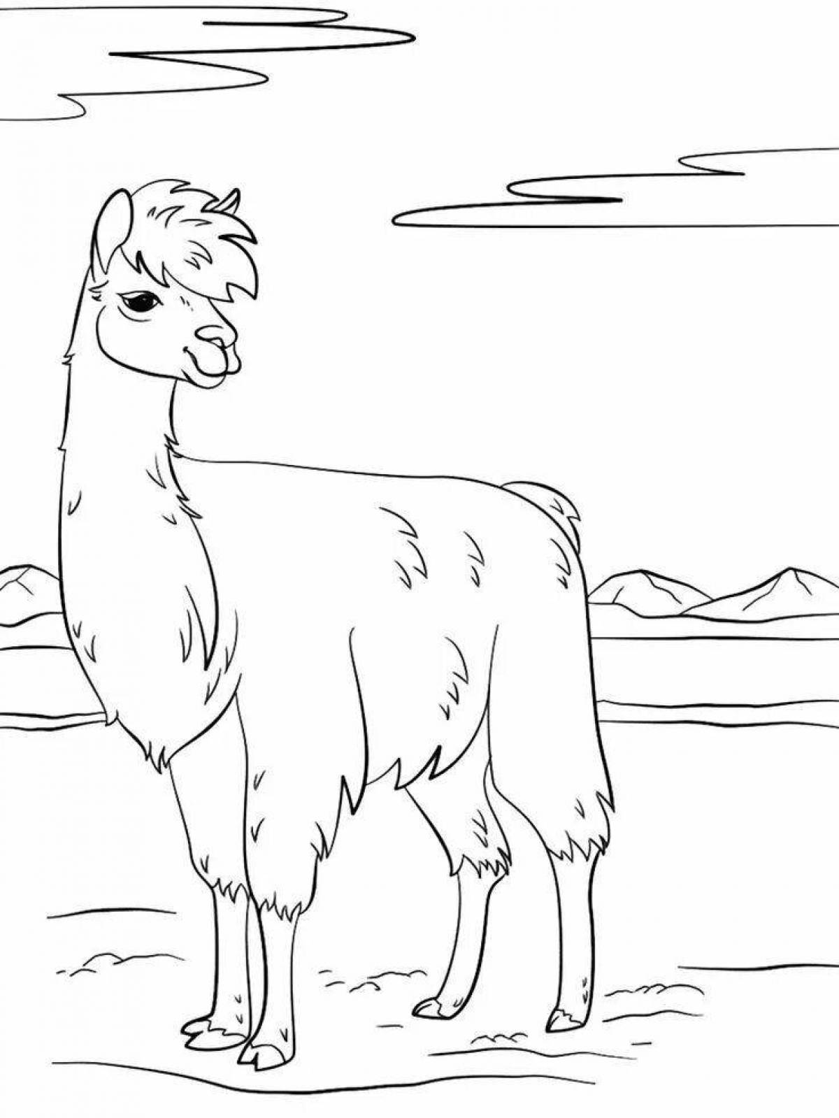 Magic llama coloring pages for kids