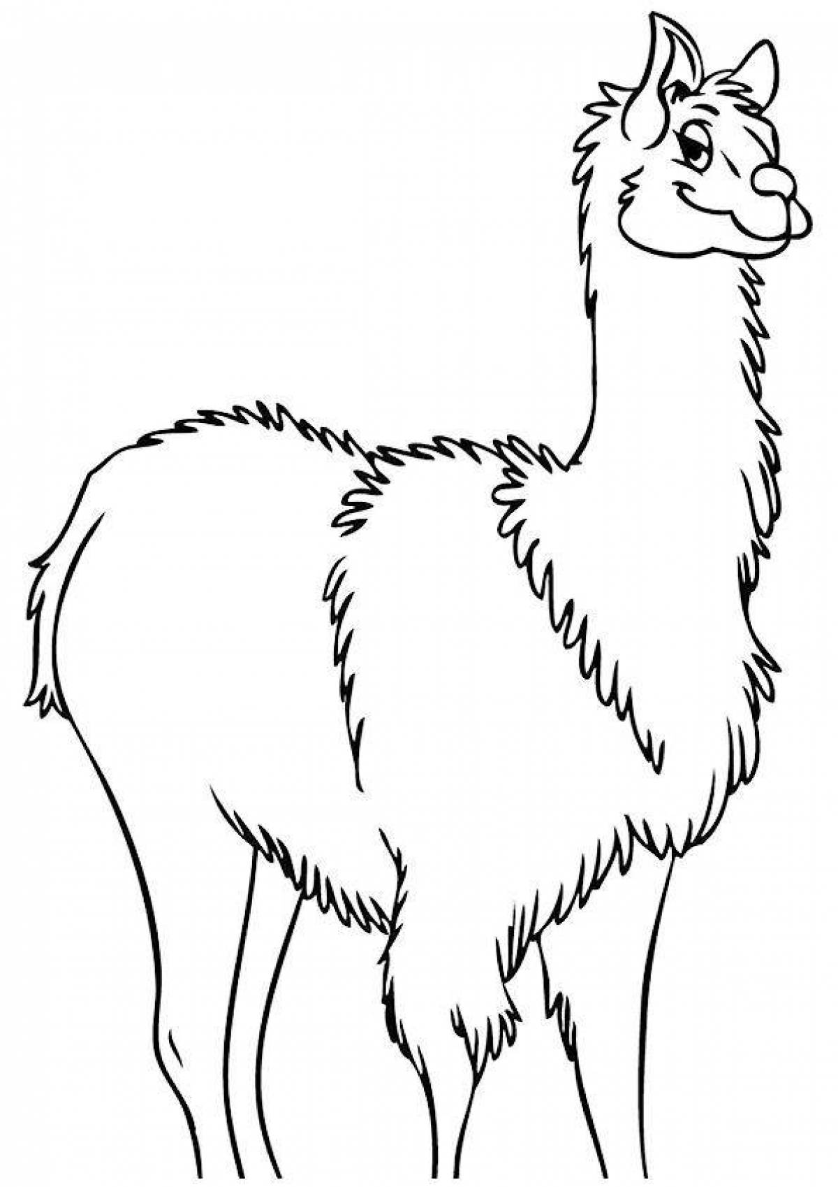 Animated llama coloring page for kids