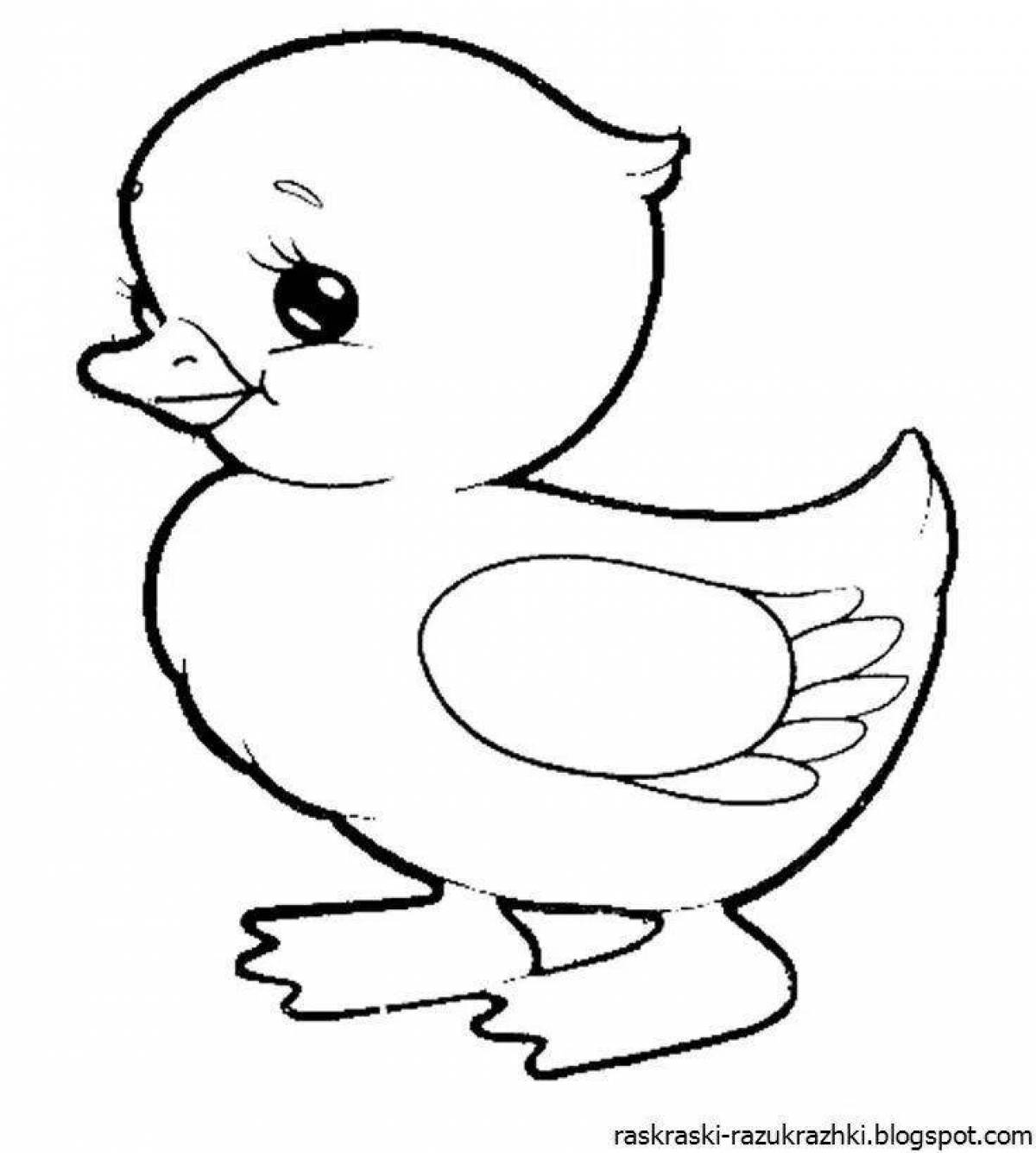 Coloring duck for kids