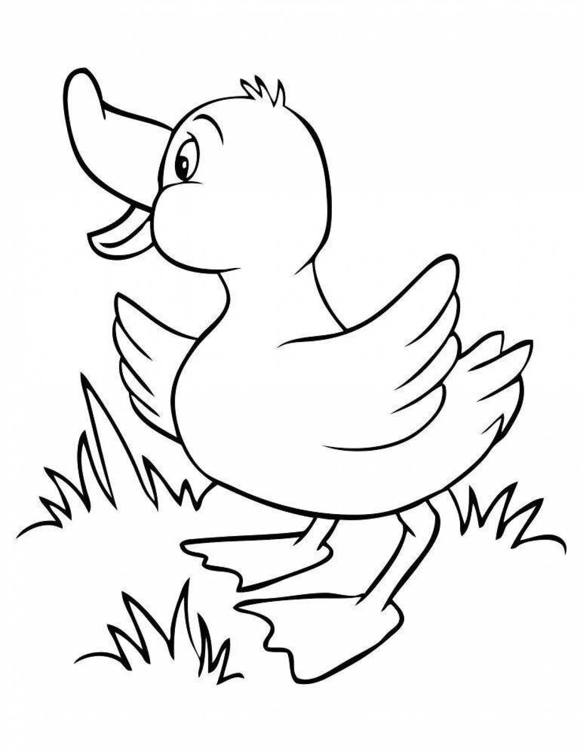 Анимированная страница раскраски утки для детей