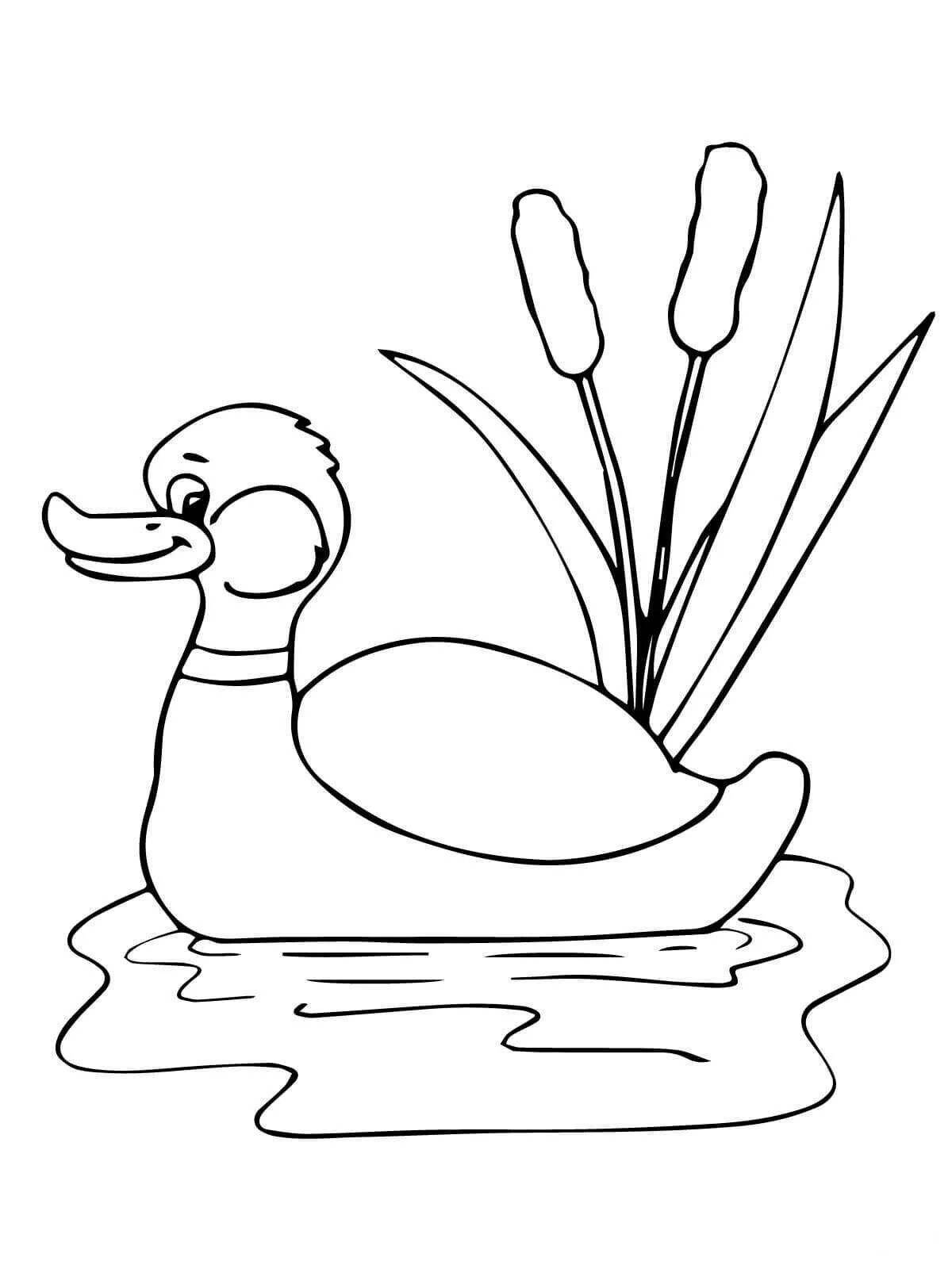 Holiday duck coloring book for kids