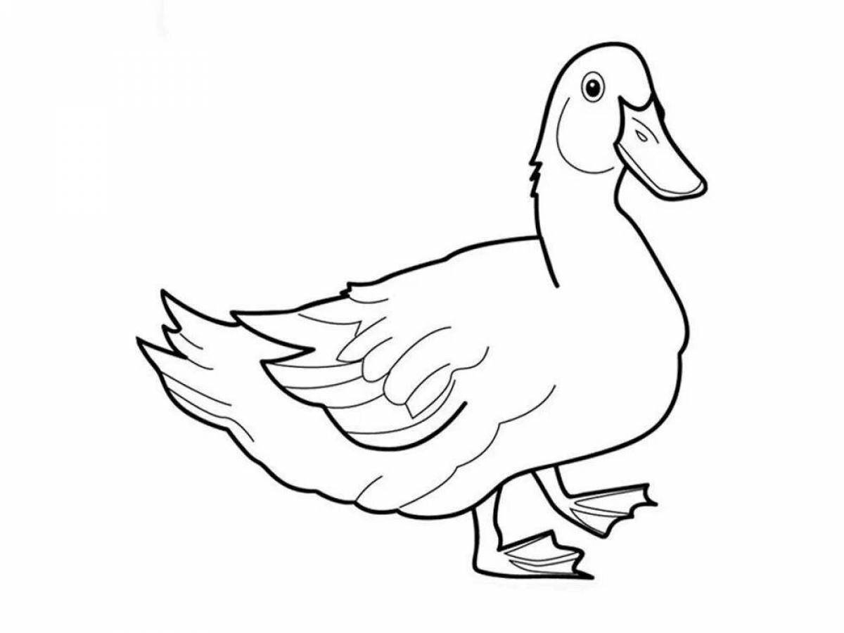 Glam duck coloring page for kids