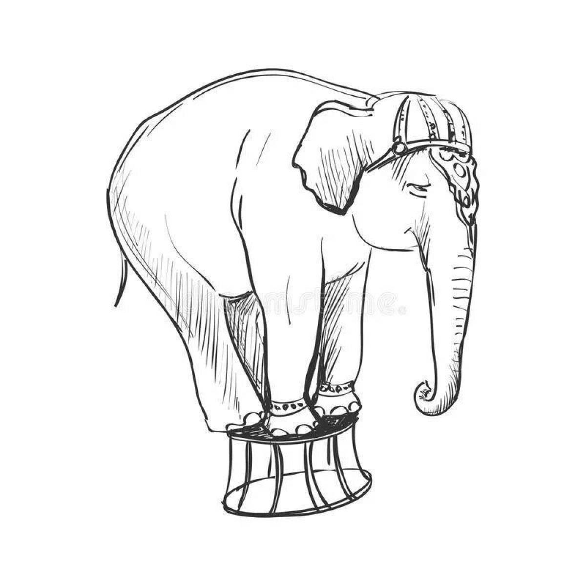 Рисуем слона в цирке