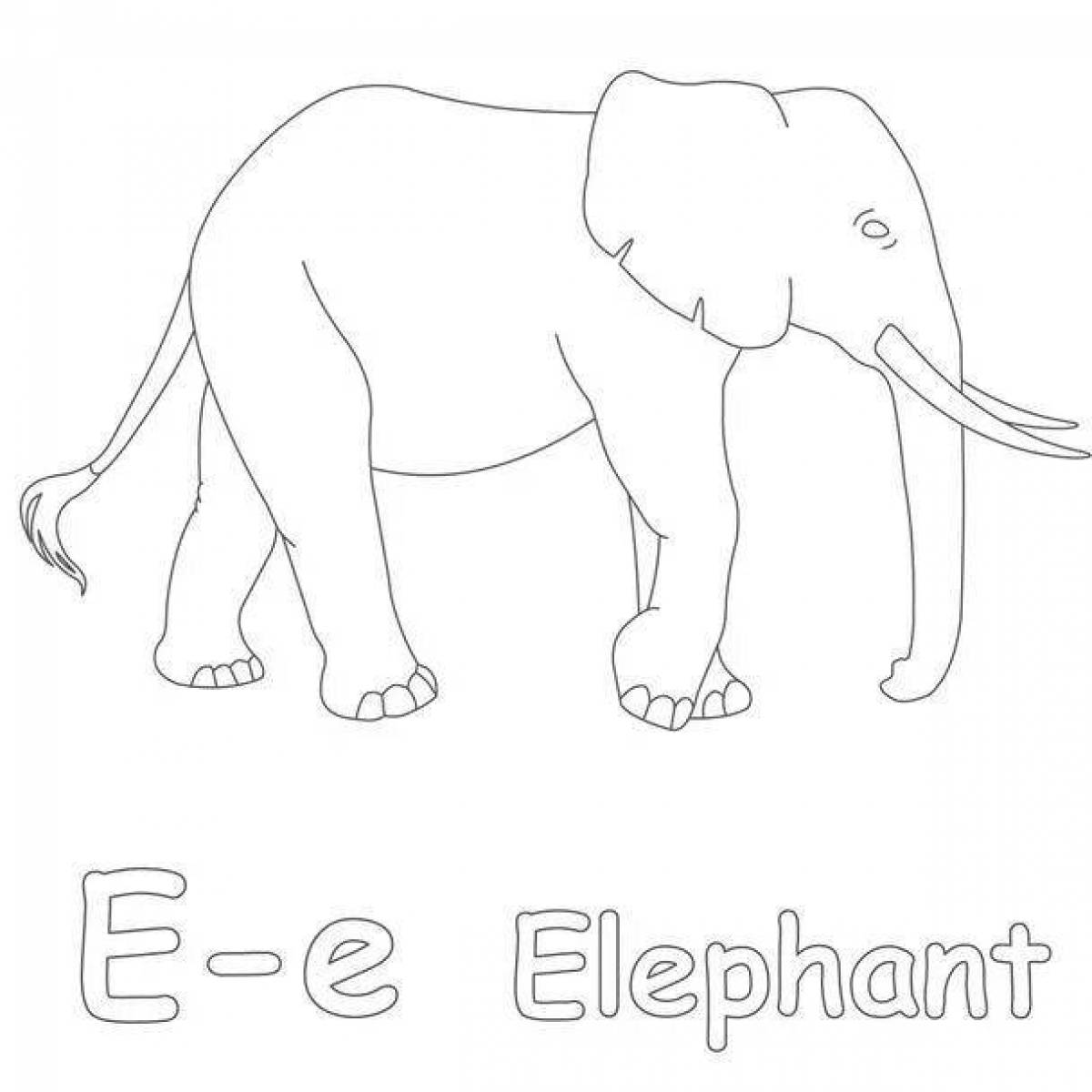 Elephant grand kuprin grade 3