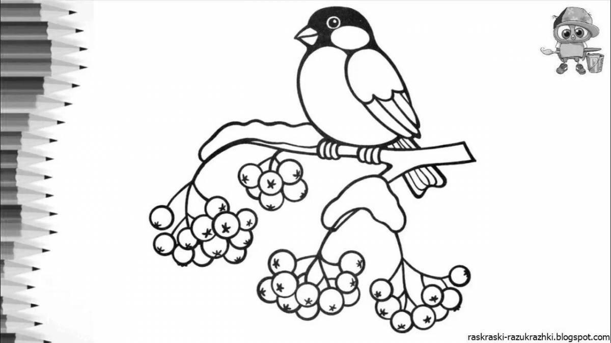 Adorable bullfinch coloring book for kids 6-7 years old