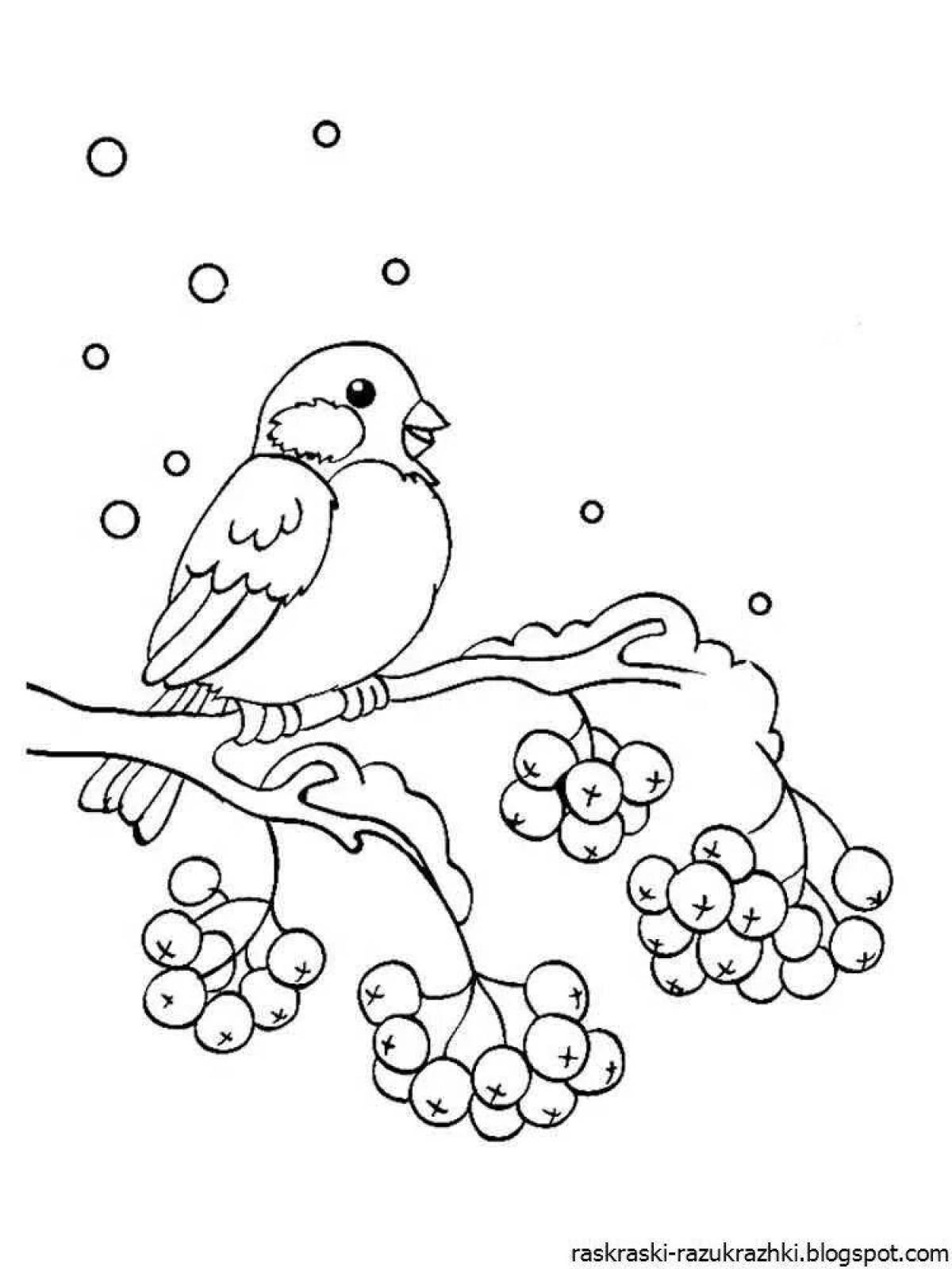 Impressive bullfinch coloring book for kids 6-7 years old