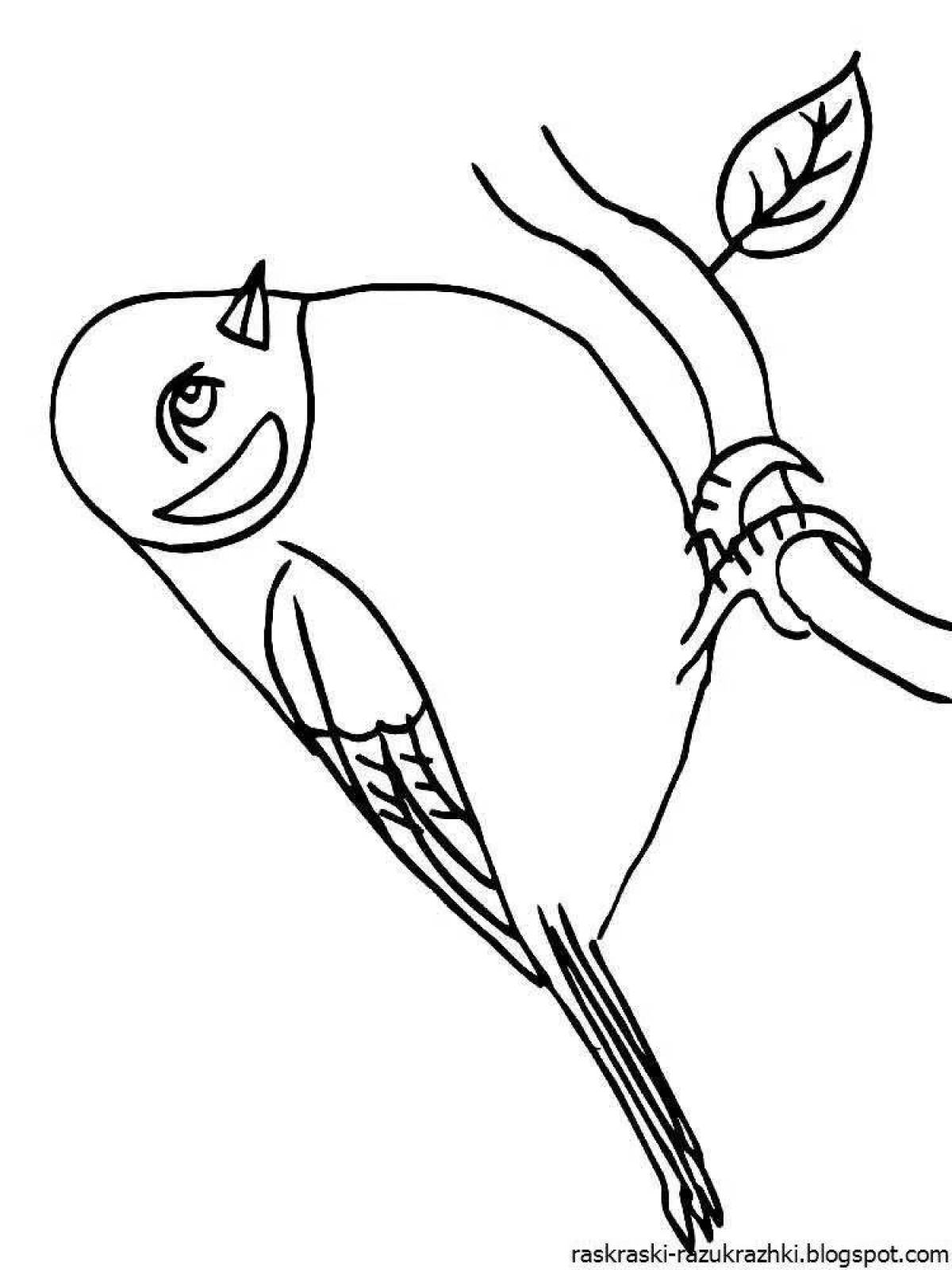 Exquisite bullfinch coloring book for kids 6-7 years old