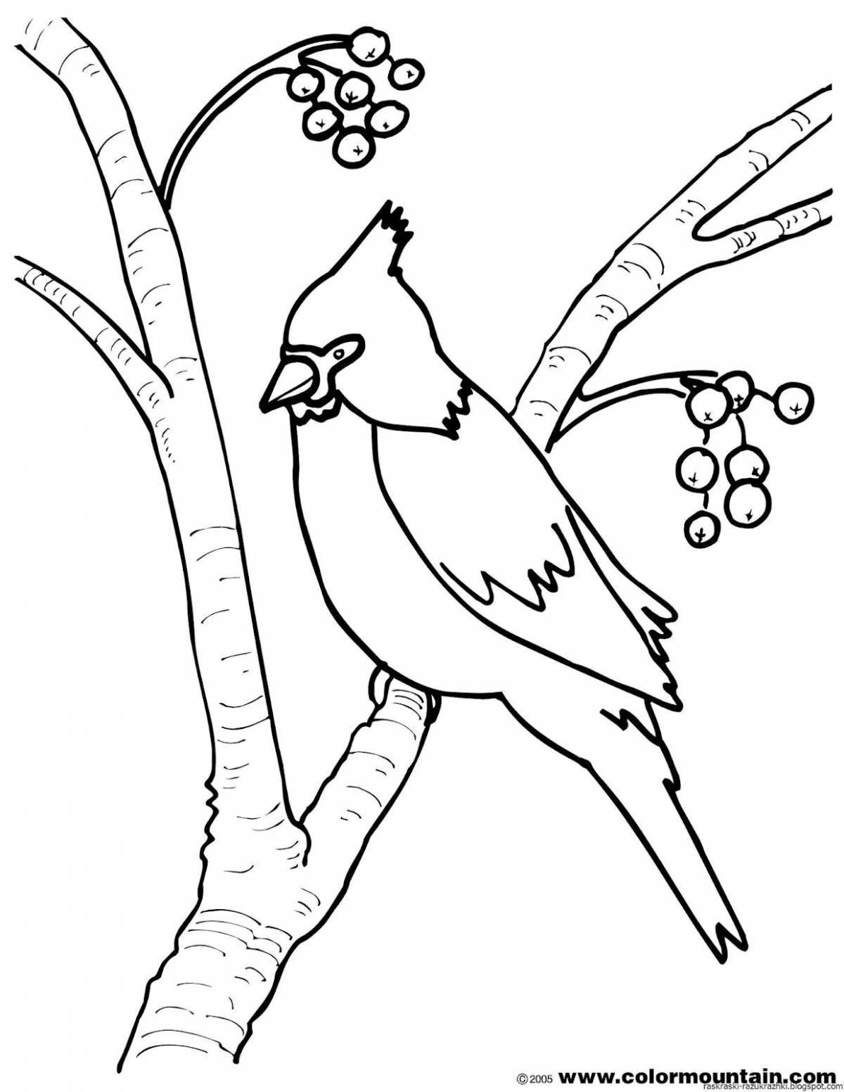 Shiny bullfinch coloring for children 6-7 years old