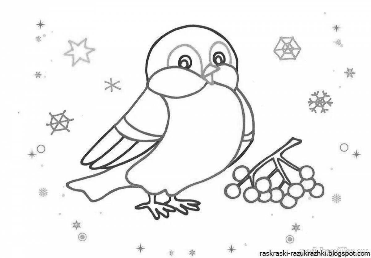 Amazing bullfinch coloring book for kids 6-7 years old