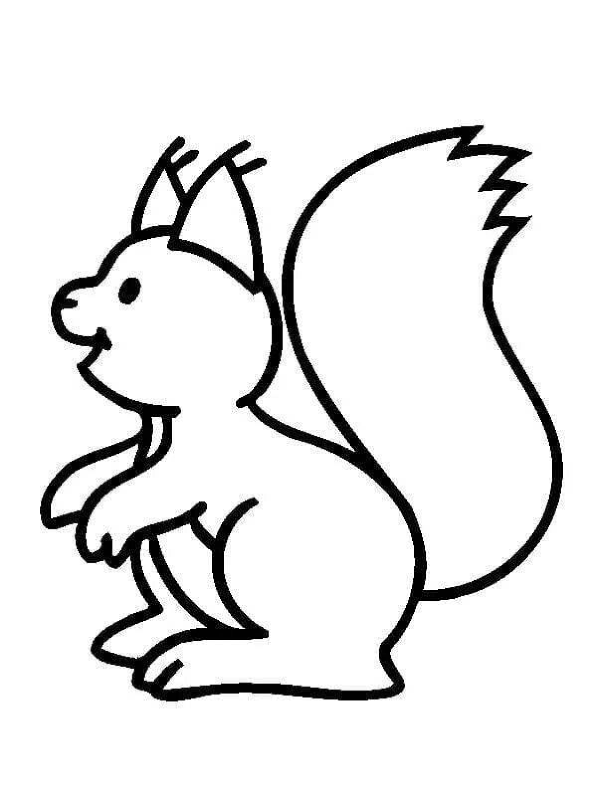Furry squirrel coloring book