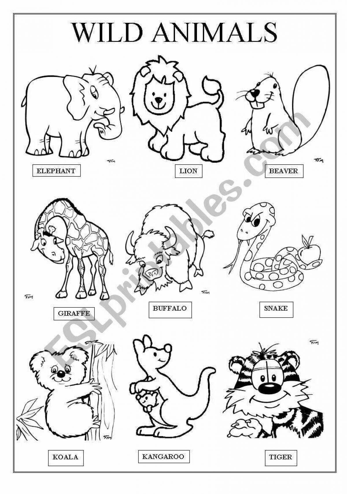 Coloring pages animals in English