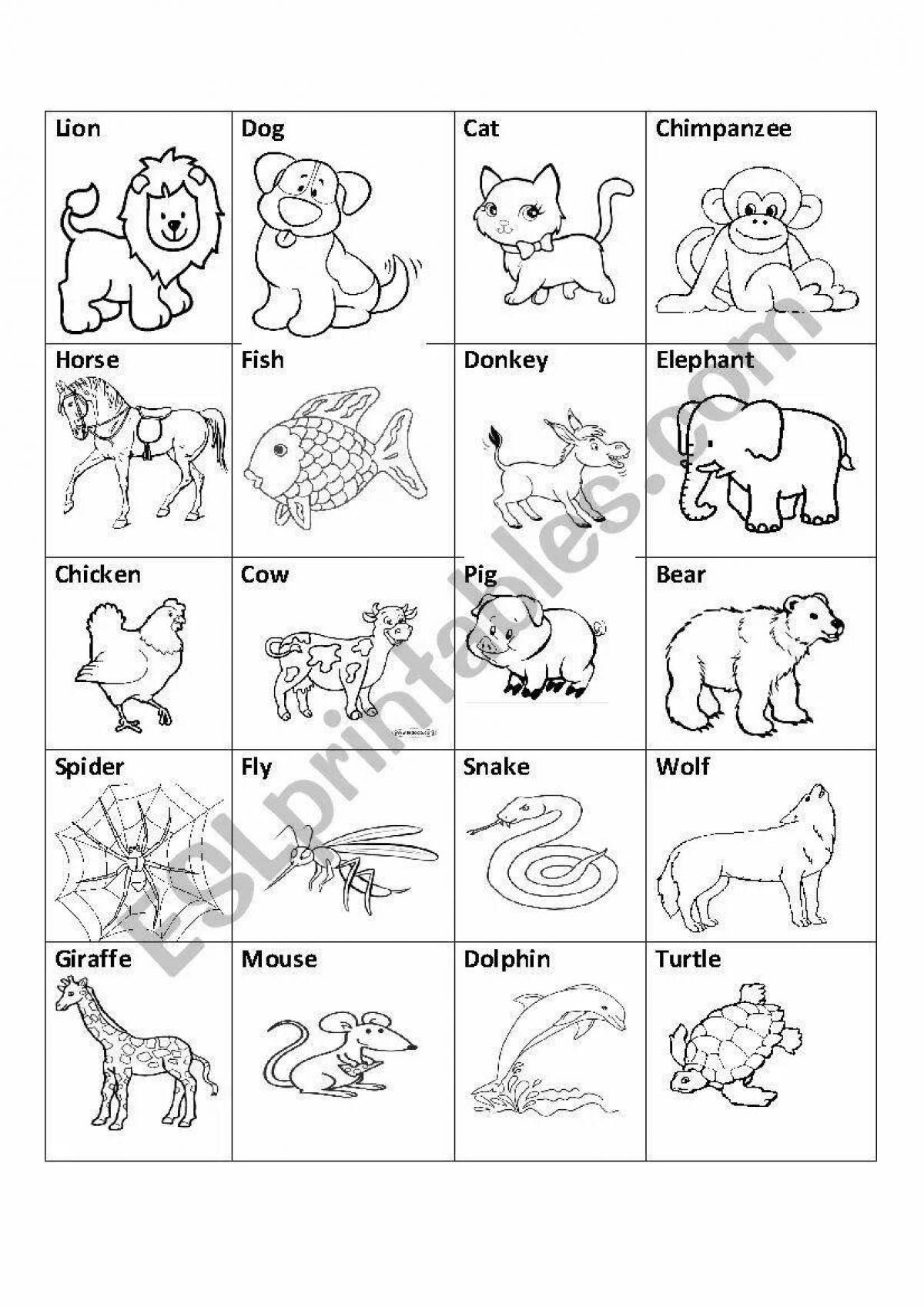 Playful animal coloring in English