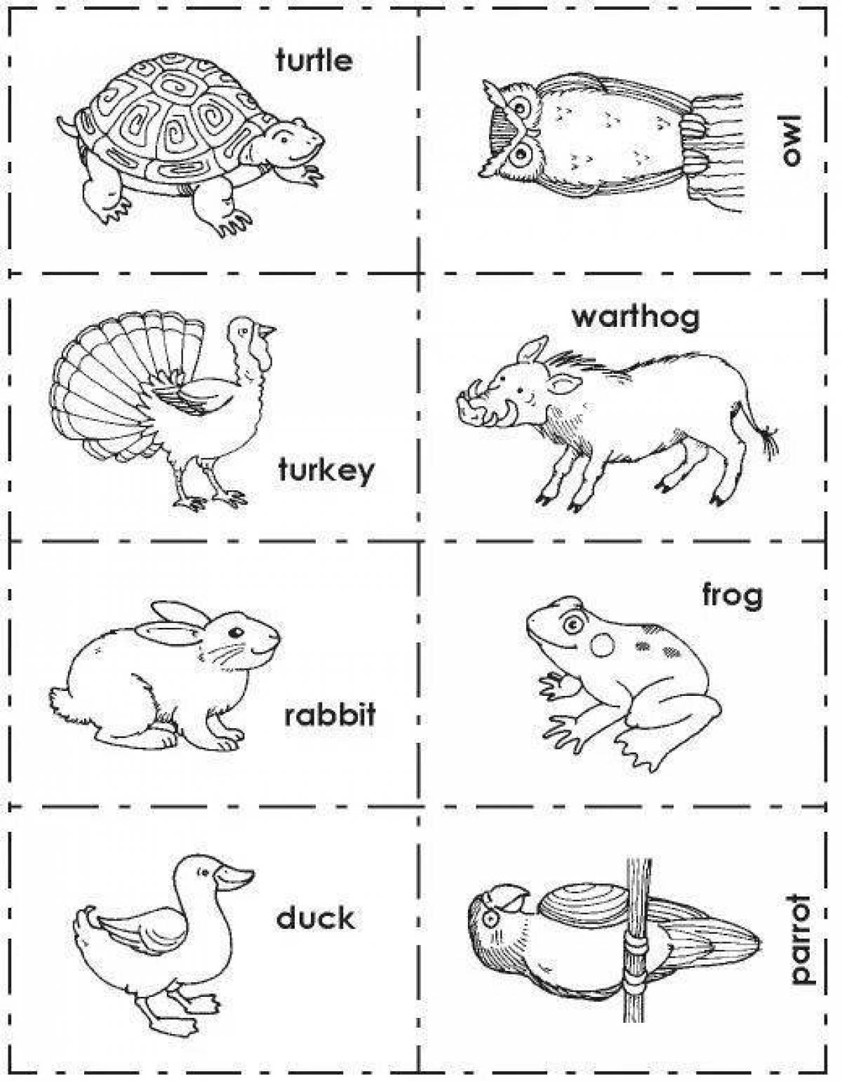 Adorable animal coloring pages in English