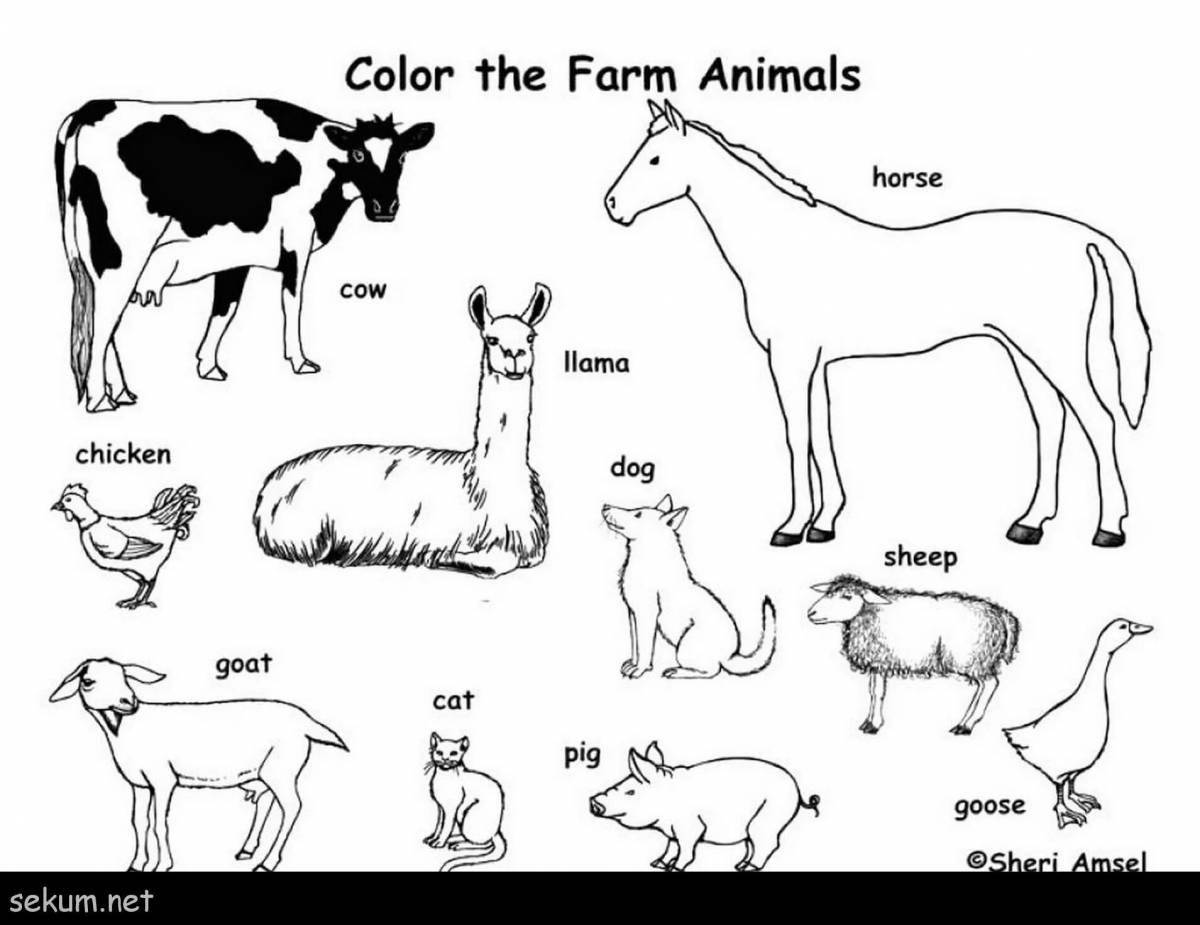Восхитительные раскраски животных на английском языке