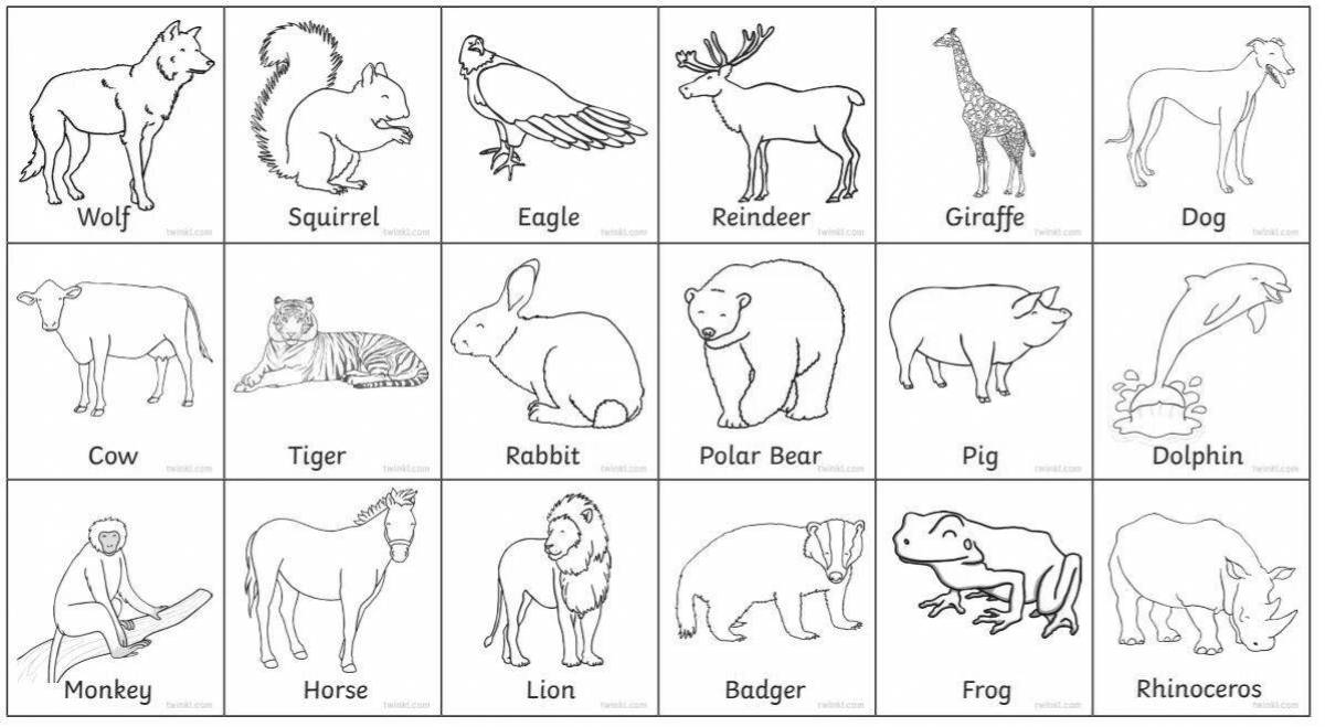 Fine animal coloring pages in English