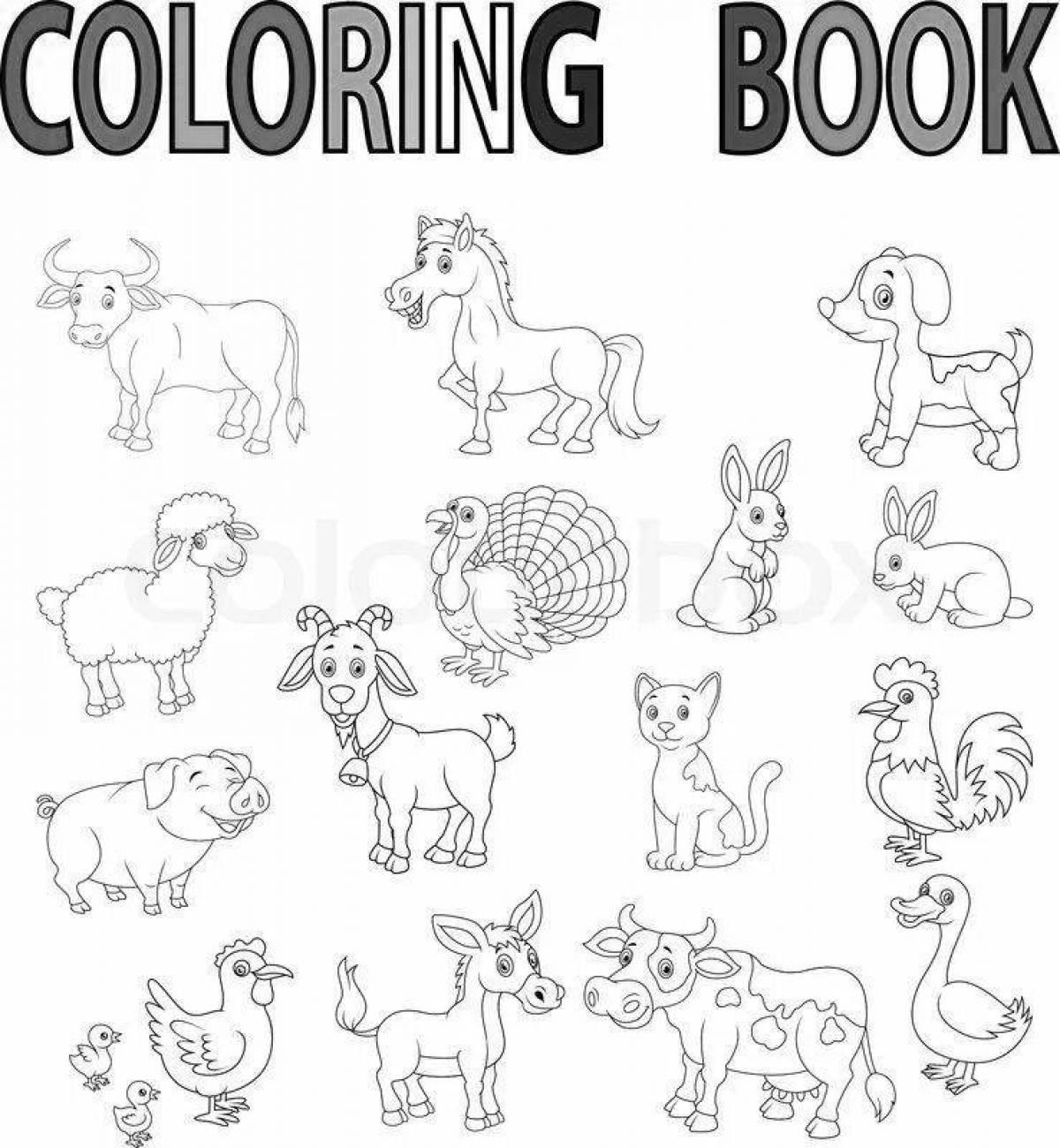 Sweet animal coloring pages in English