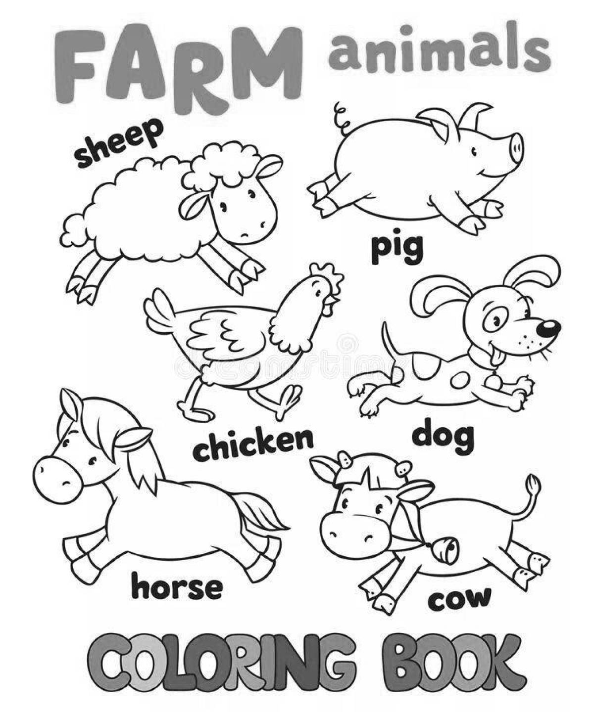 Funny Animal Coloring Pages in English