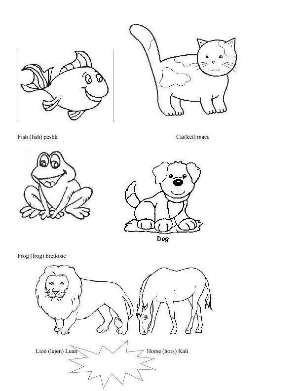Vibrant animal coloring pages in English