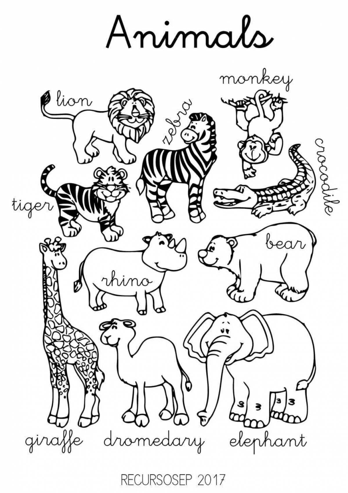 Раскраска зоопарк с животными английский