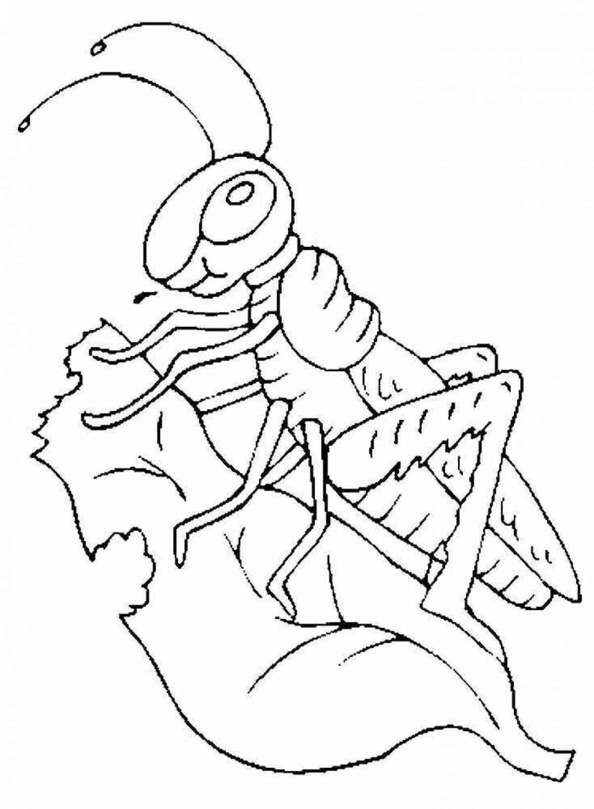 Playful grasshopper coloring page for kids