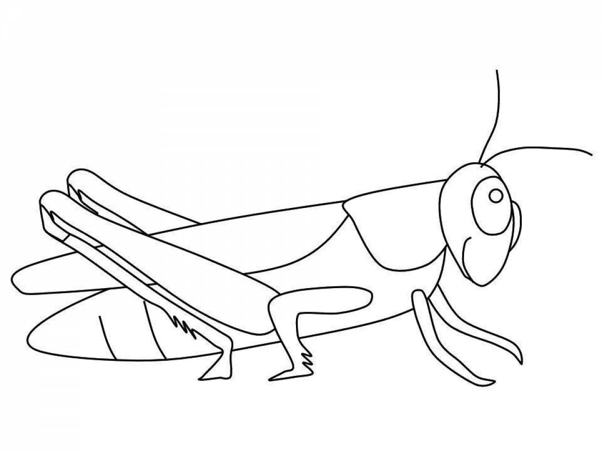 Creative grasshopper coloring book for kids