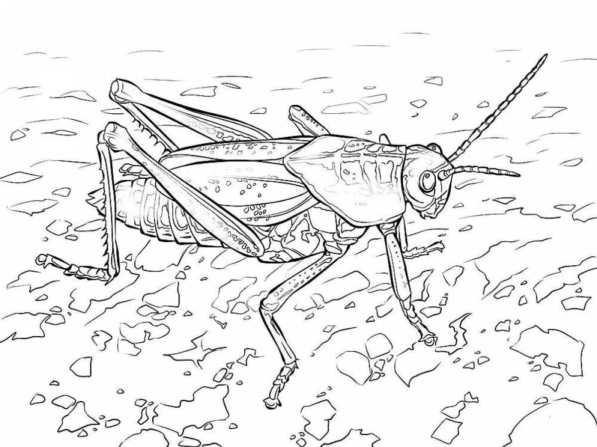 Grasshopper for kids #18