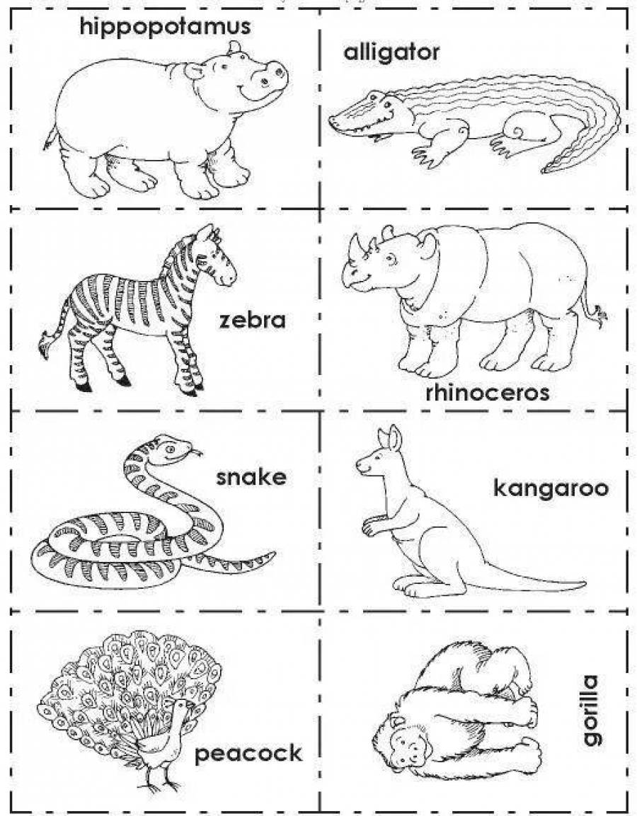 Рисунок зоопарк 4 класс по английскому языку