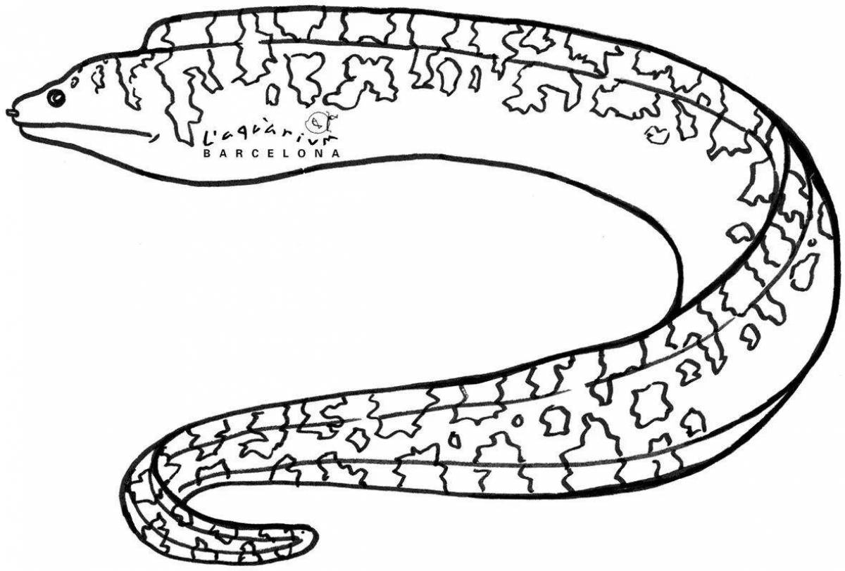 Картинки мурена для детей