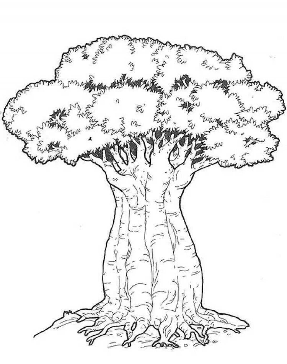 Рисунки растения деревья. Баобаб раскраска для детей. Дерево раскраска. Баобаб дерево раскраска. Бутылочное дерево раскраска.