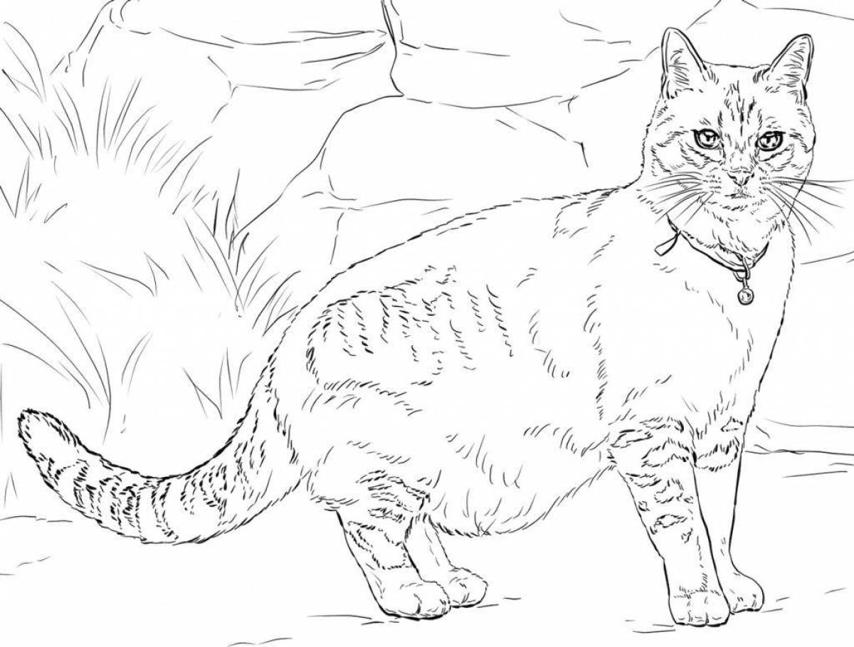 Как нарисовать кошку бенгальскую кошку