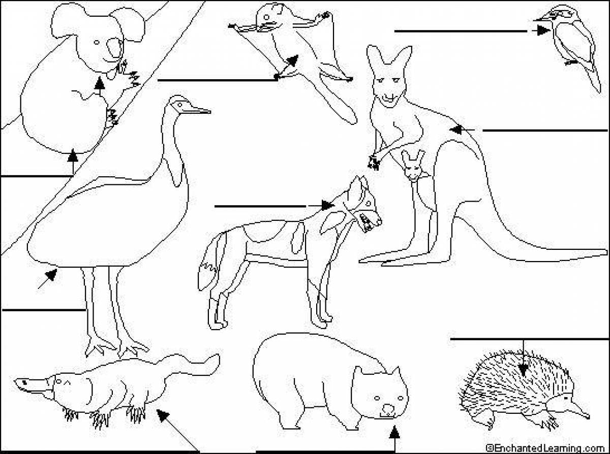 Рисунки австралийских животных