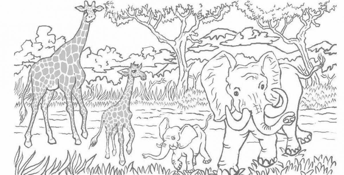 Colorful playful African animal coloring book for 6-7 year olds