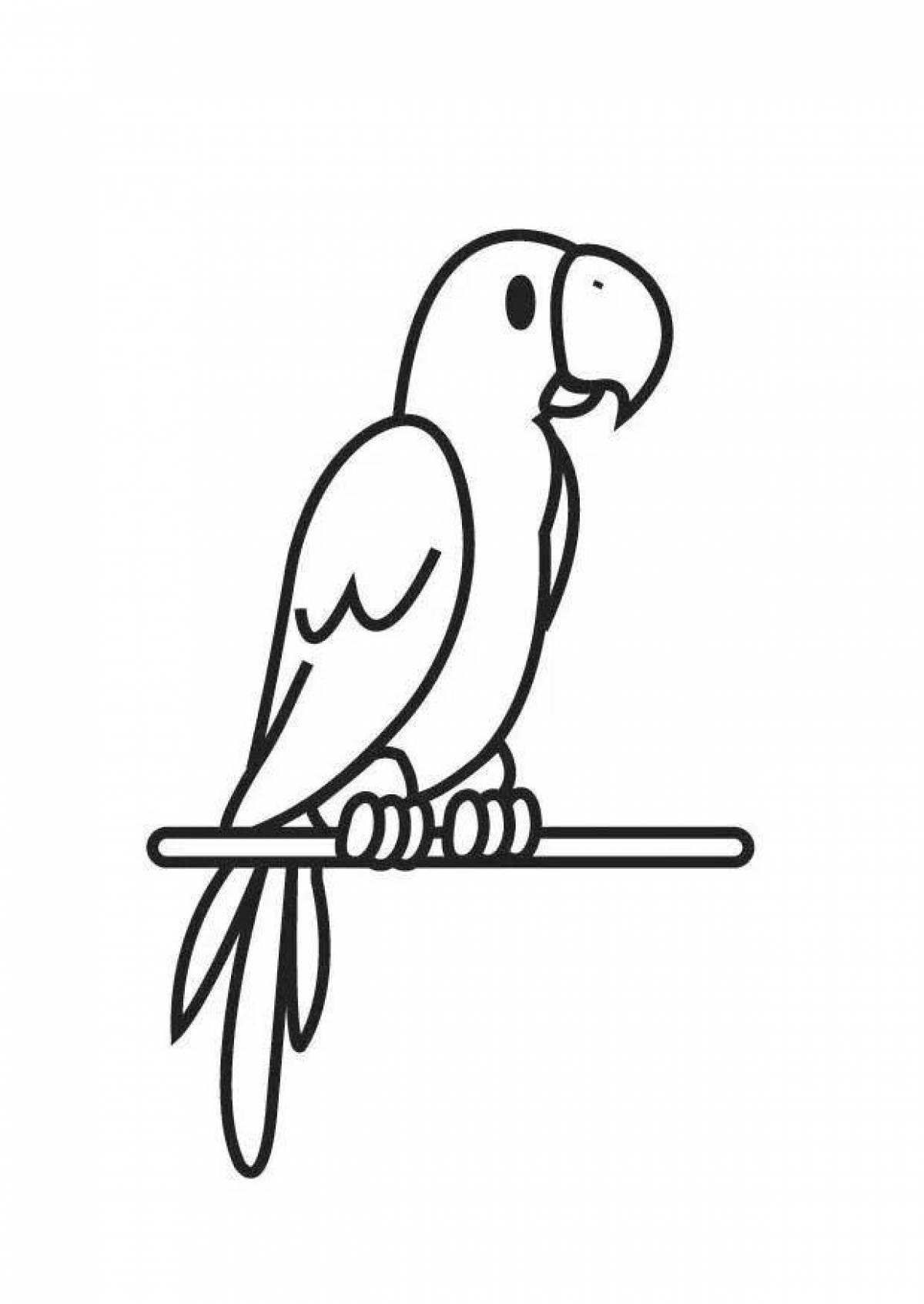 Glorious parrot coloring pages for kids
