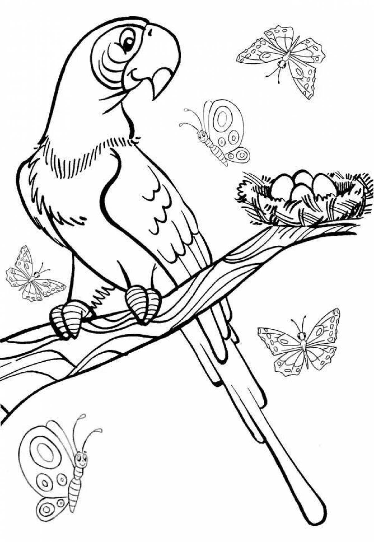 Cute parrot coloring pages for kids