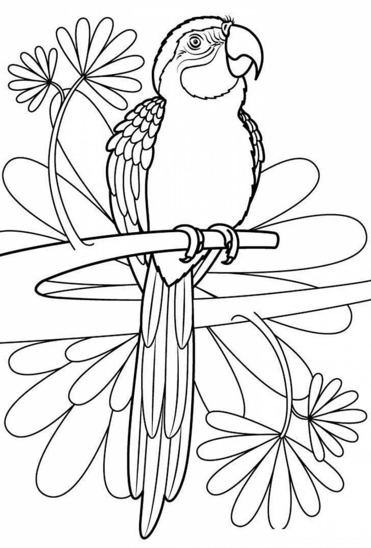 Adorable parrot coloring book for kids