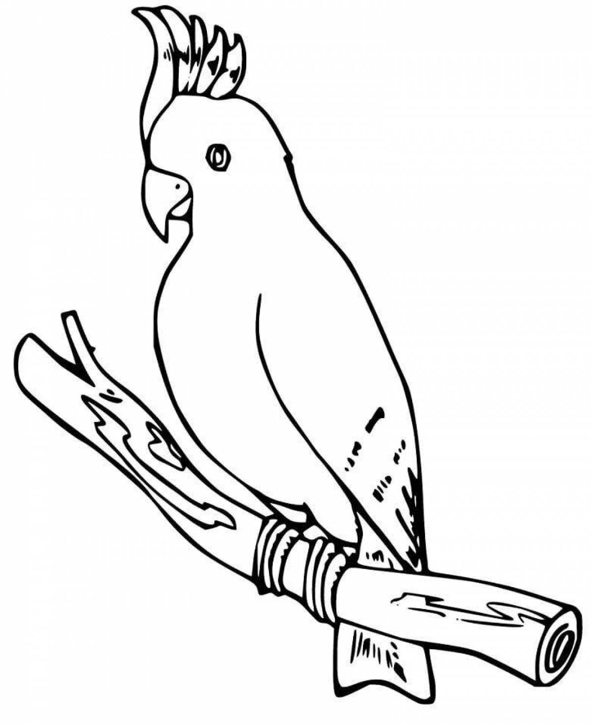 Strange parrot coloring pages for kids