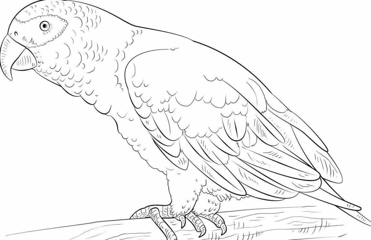 Coloring page friendly parrot for kids