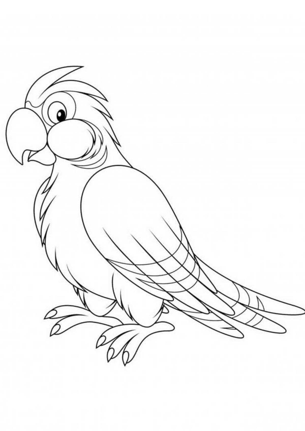 Parrot for kids picture #6