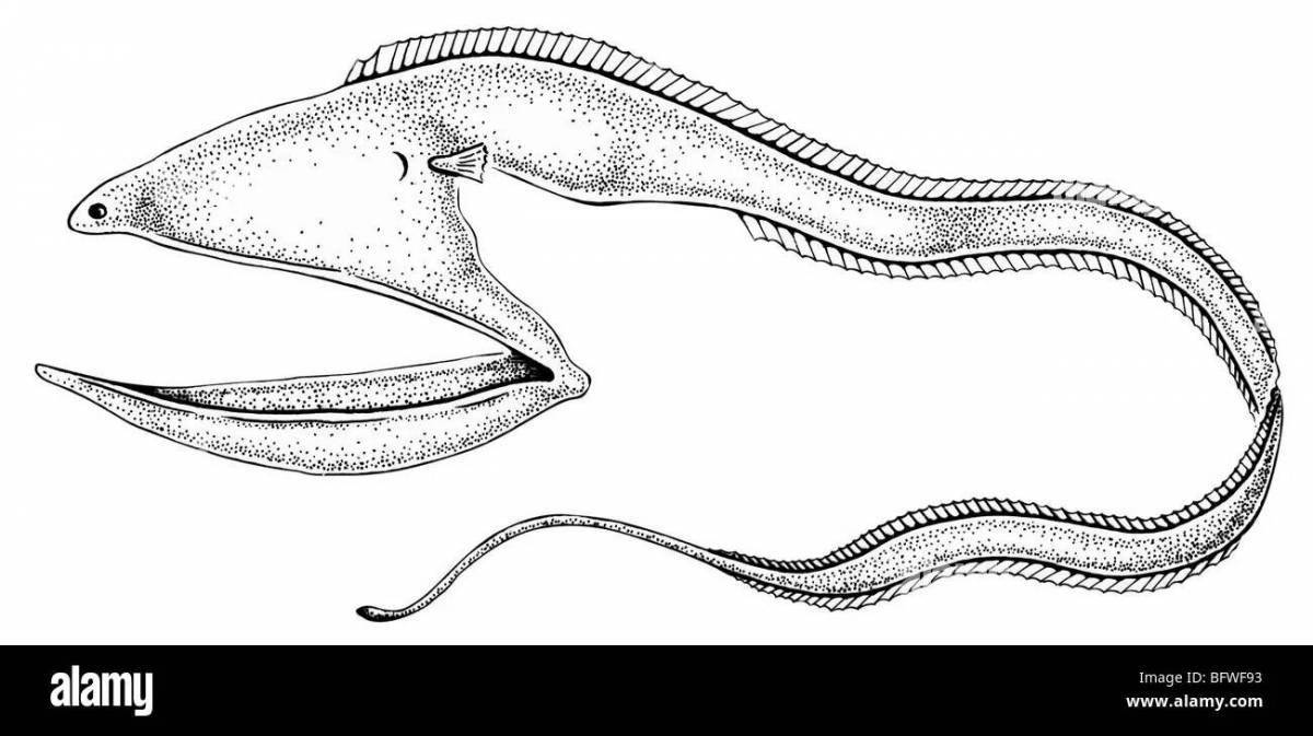 Glittering moray eel coloring page