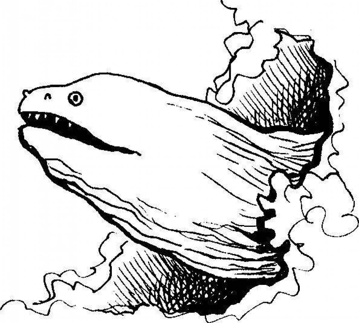 Awesome moray eel coloring page