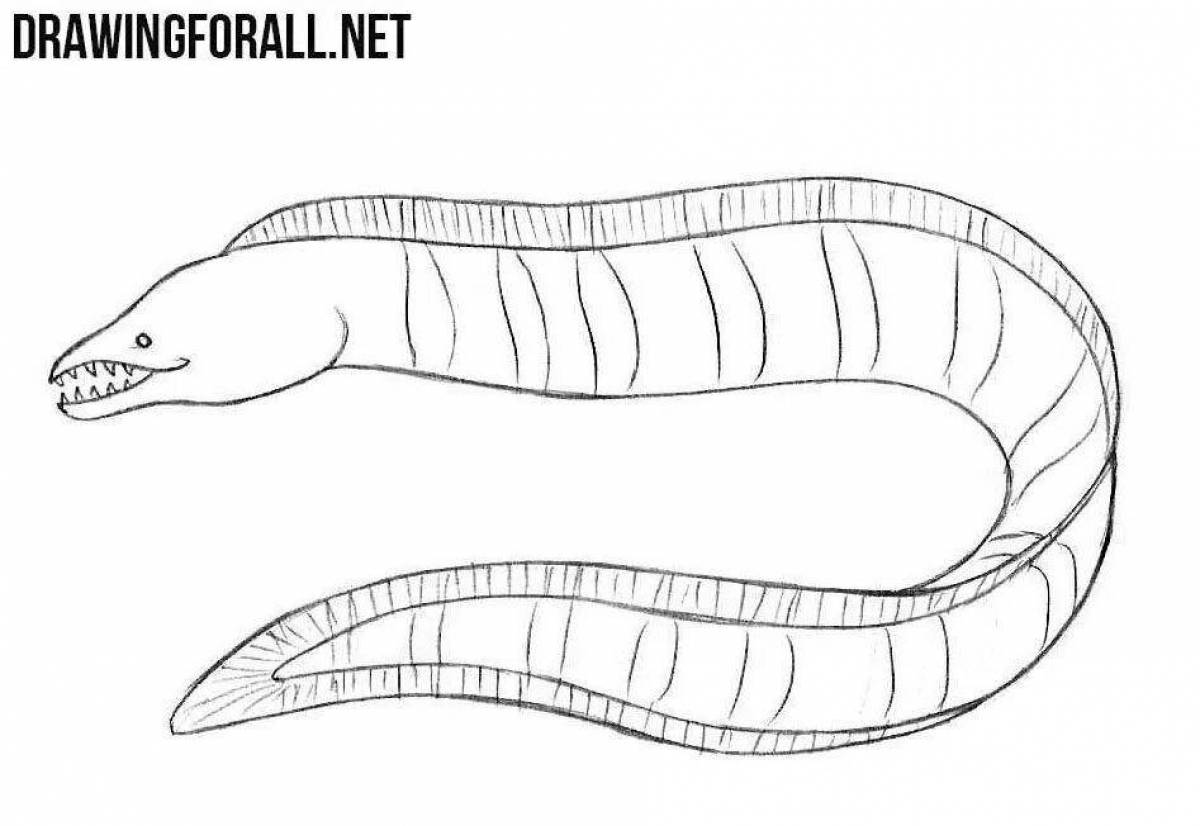 Gorgeous moray eel coloring page