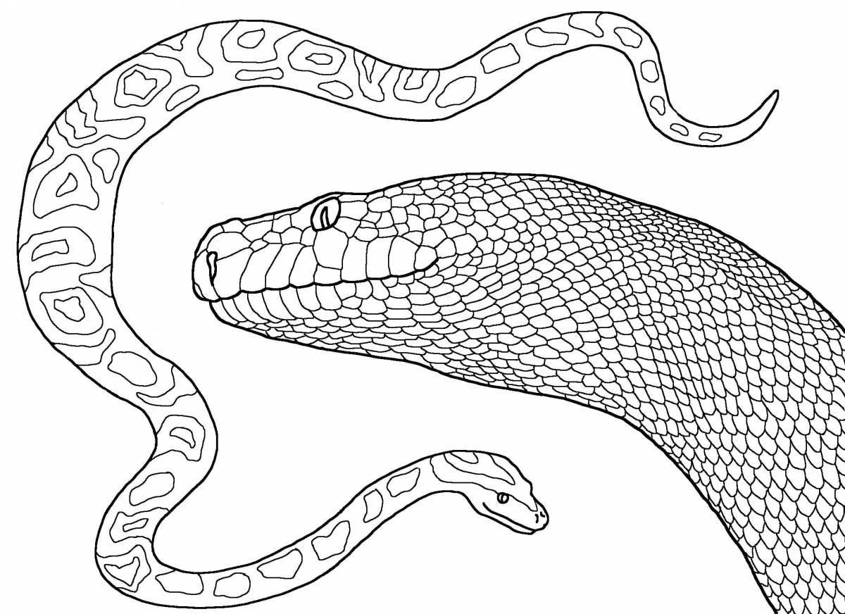 Amazing moray eel coloring page