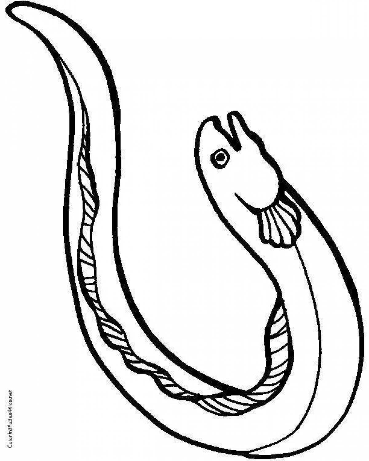 Moray eel #3